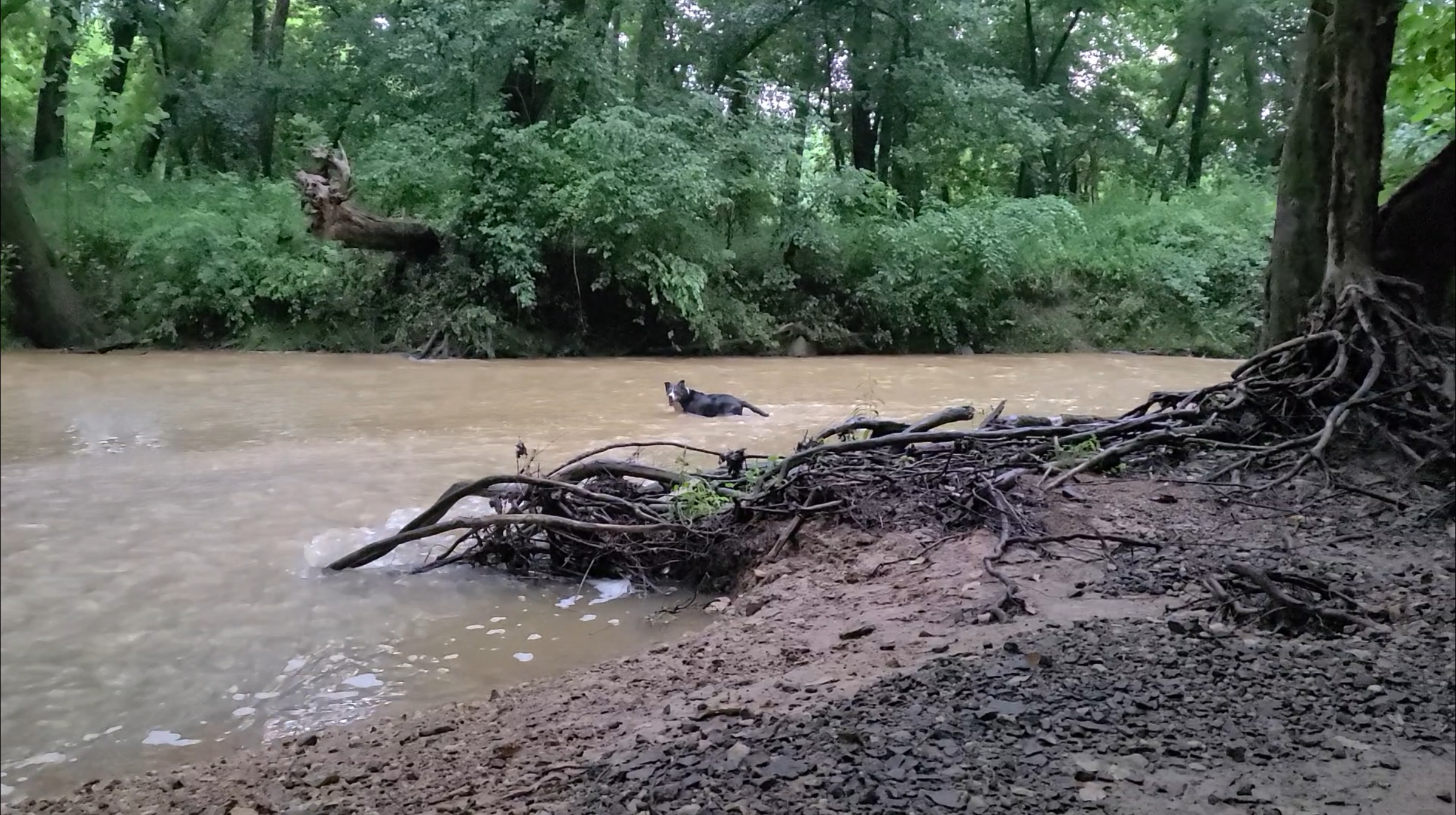 20220703_061625.mp4